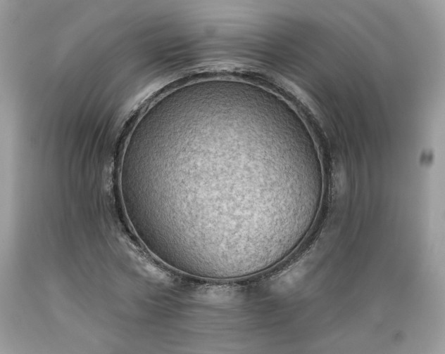 X0000089380778200706221253