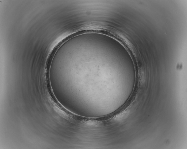 X0000089380779200706221253