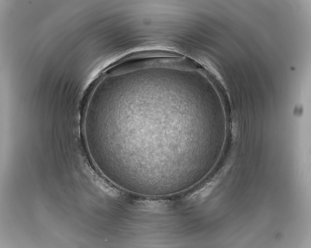 X0000089380781200706221253