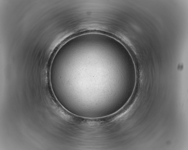 X0000089380782200706221253