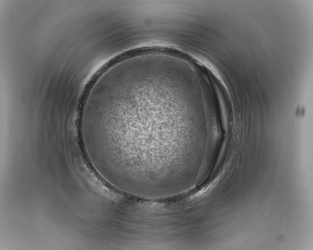 X0000089380783200706221253