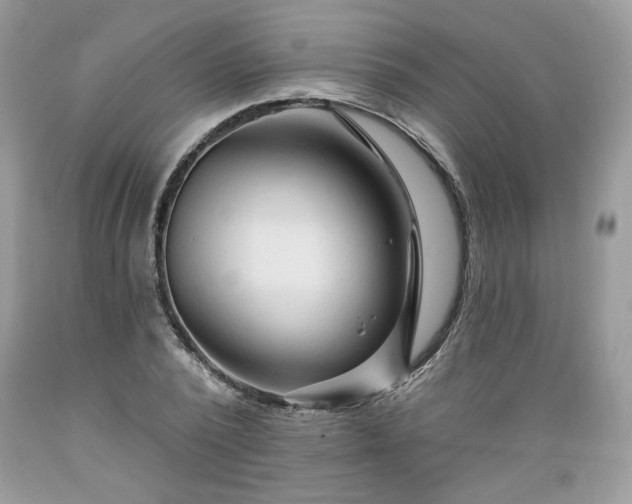 X0000089380784200706221253