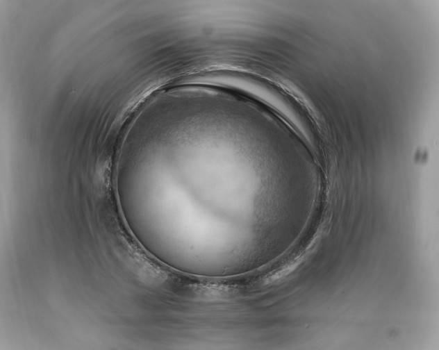 X0000089380785200706221253