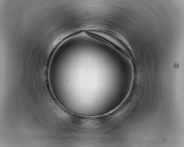 X0000089380786200706221253