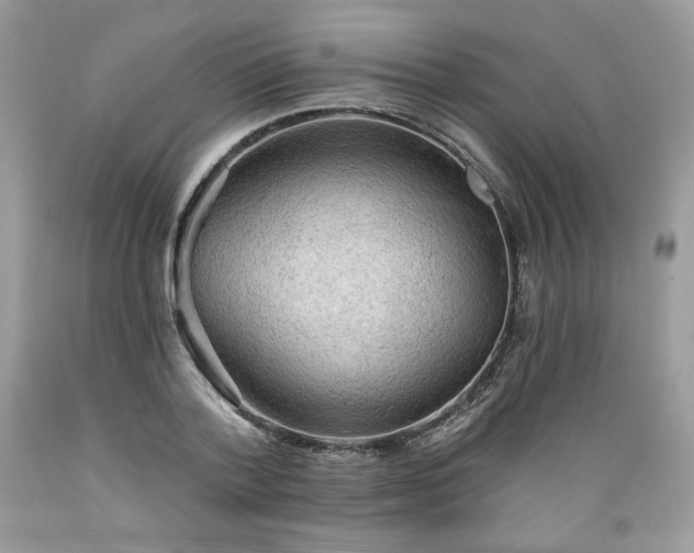 X0000089380788200706221253