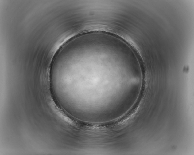 X0000089380790200706221253