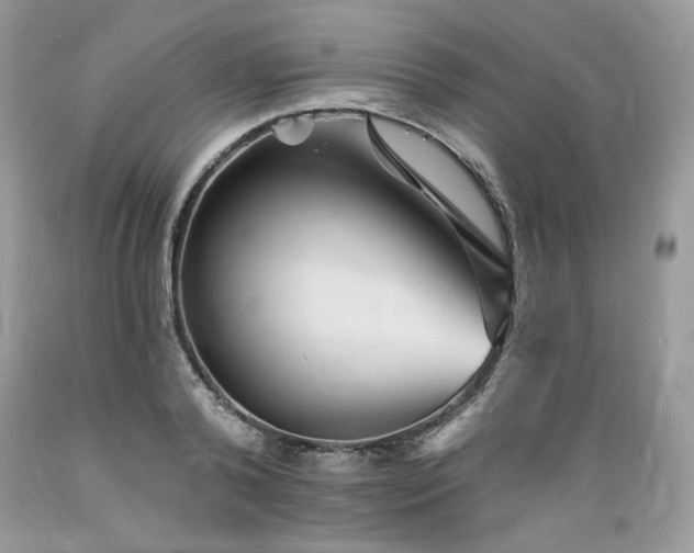 X0000089380792200706221253