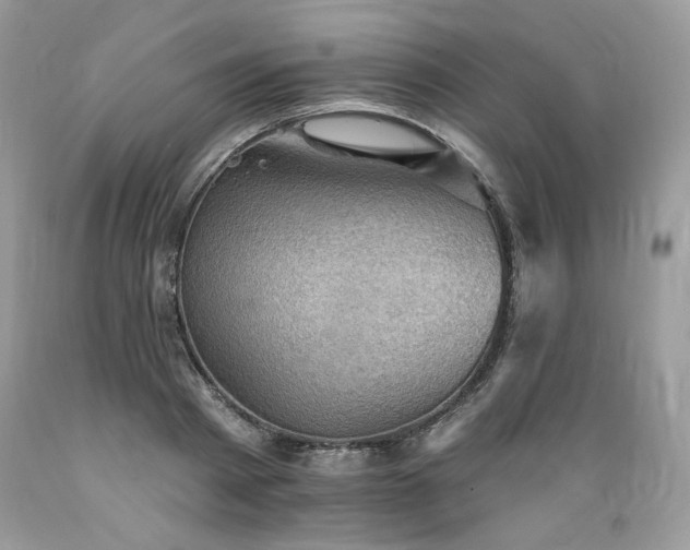 X0000089380793200706221253