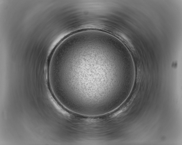 X0000089380796200706221253