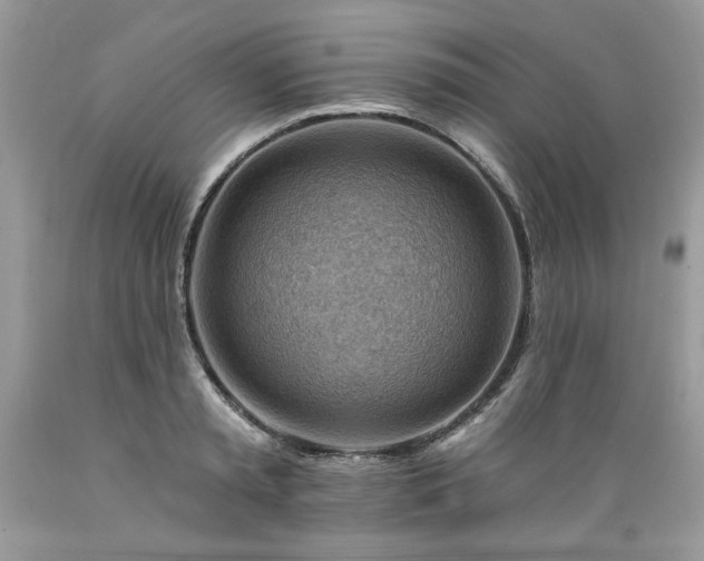 X0000089380797200706221253