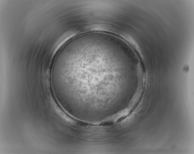 X0000089380798200706221253