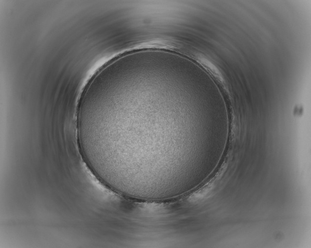 X0000089380800200706221253