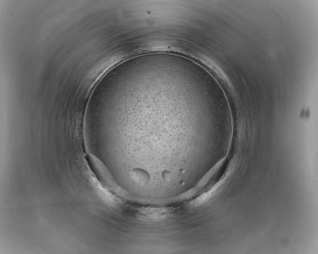 X0000089380801200706221253