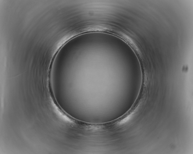 X0000089380802200706221253