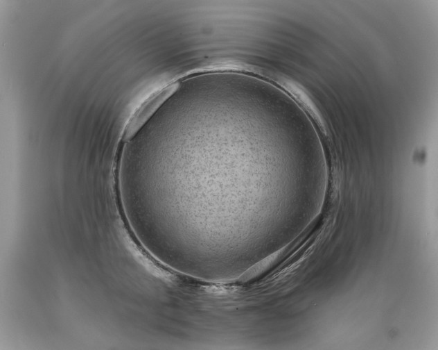 X0000089380805200706221253