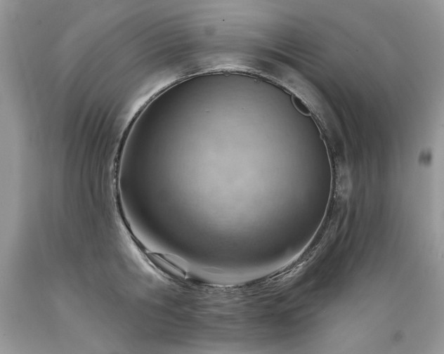 X0000089380806200706221253