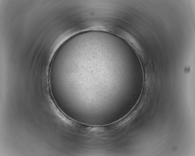 X0000089380808200706221253