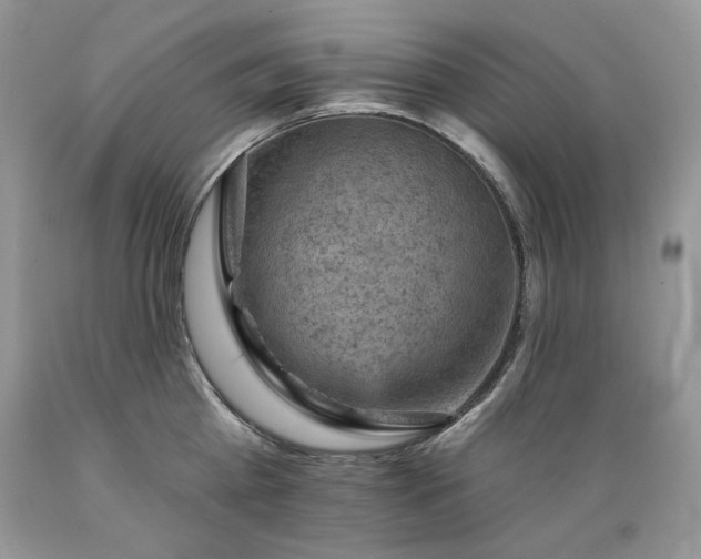 X0000089380809200706221253