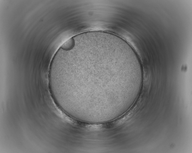 X0000089380810200706221253