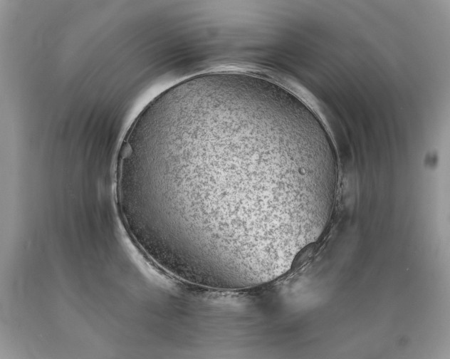 X0000089380811200706221253