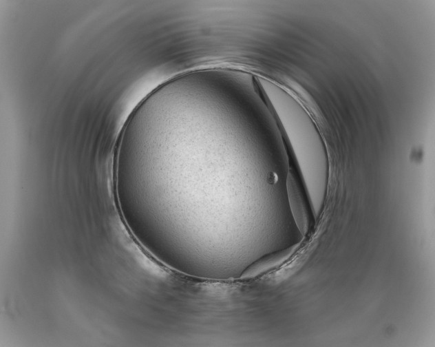 X0000089380812200706221253