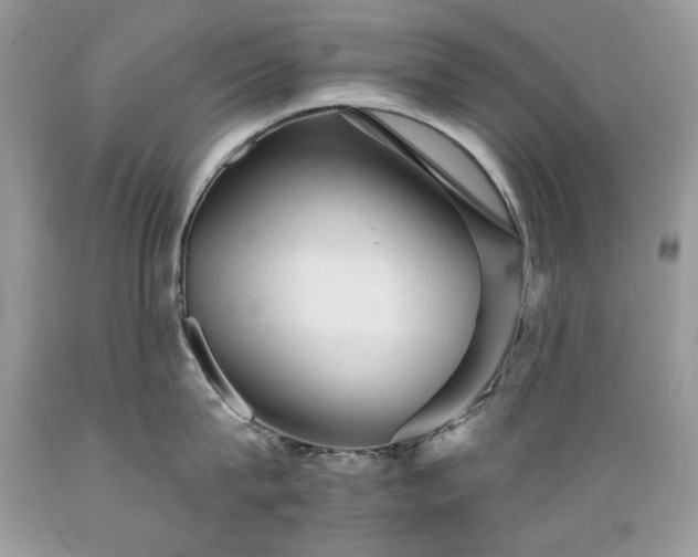 X0000089380815200706221253