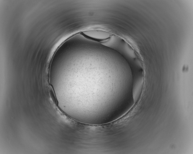 X0000089380816200706221253