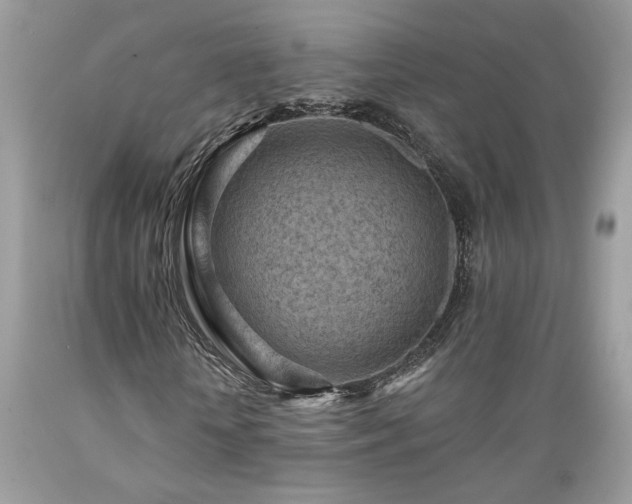 X0000089380818200706221252