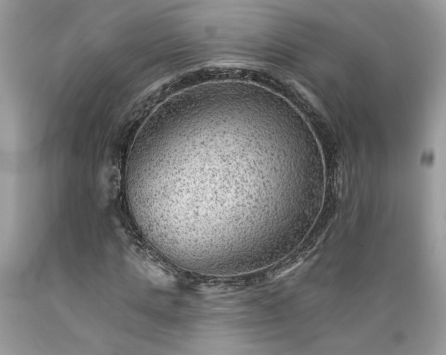 X0000089380821200706221252