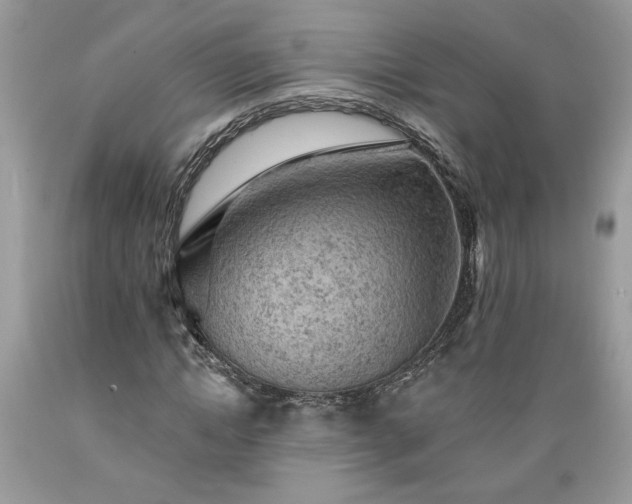X0000089380822200706221252