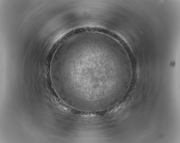 X0000089380823200706221252