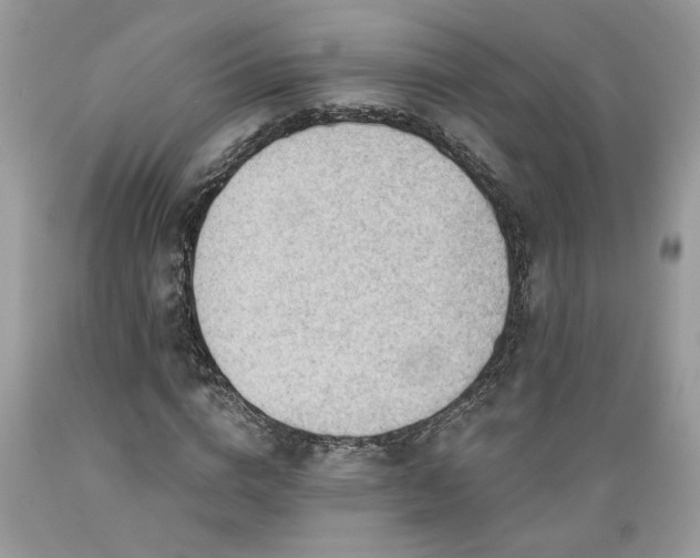 X0000089380824200706221252