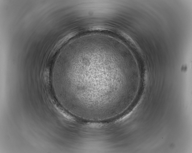 X0000089380825200706221252