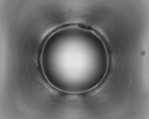 X0000089380826200706221252