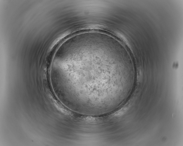 X0000089380827200706221252