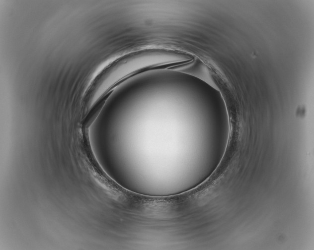 X0000089380830200706221252
