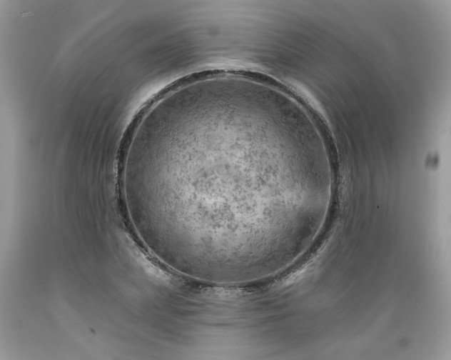 X0000089380831200706221252