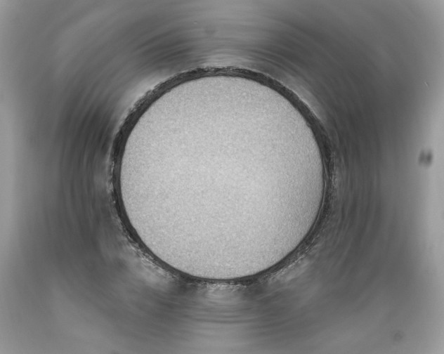 X0000089380832200706221252