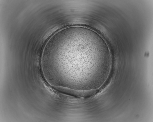 X0000089380833200706221252