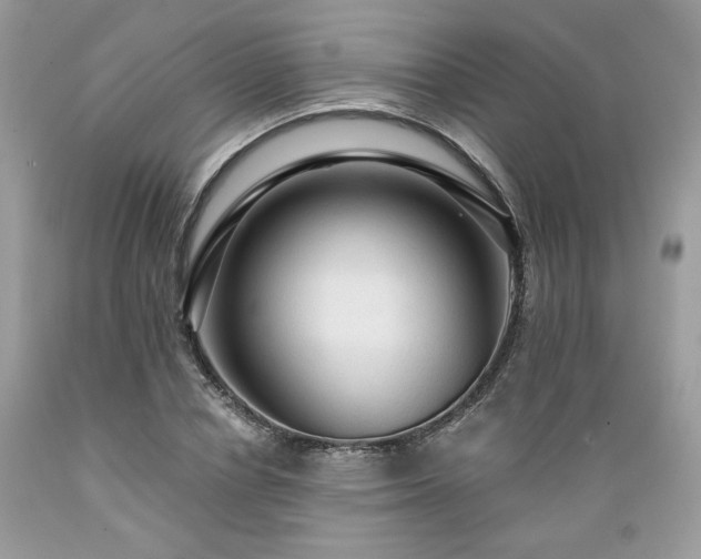 X0000089380834200706221252