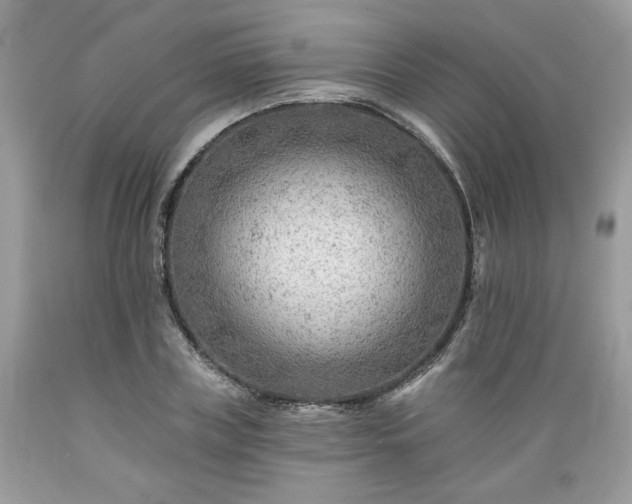 X0000089380835200706221252