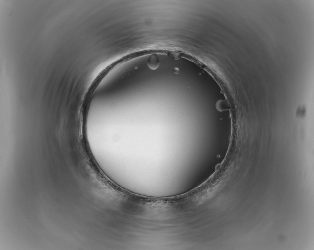 X0000089380838200706221252
