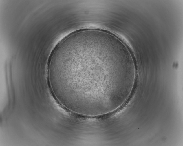 X0000089380839200706221252