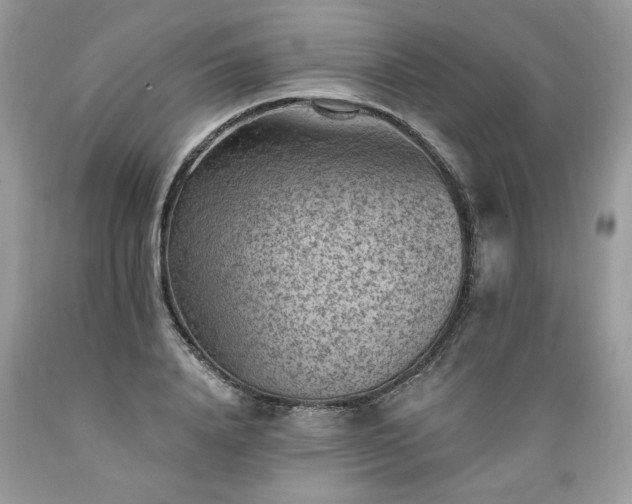 X0000089380840200706221252