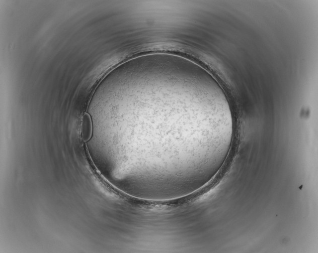 X0000089380841200706221252