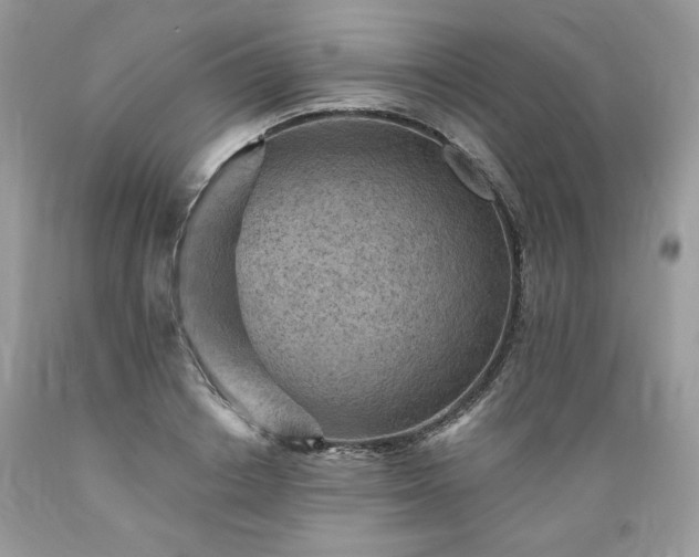 X0000089380842200706221252
