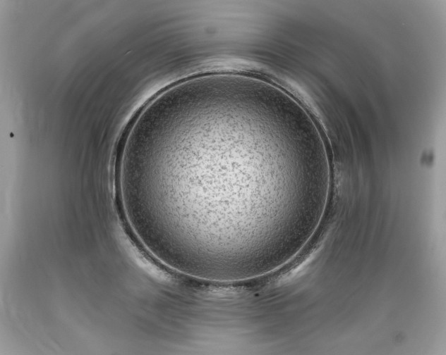 X0000089380843200706221252