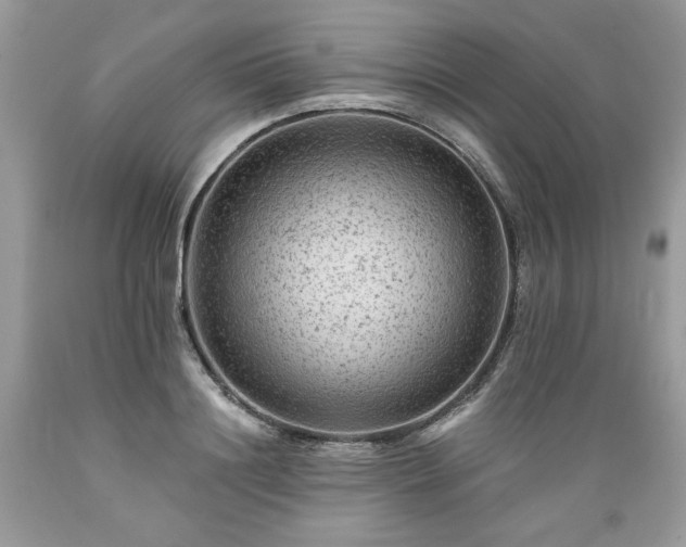 X0000089380844200706221252
