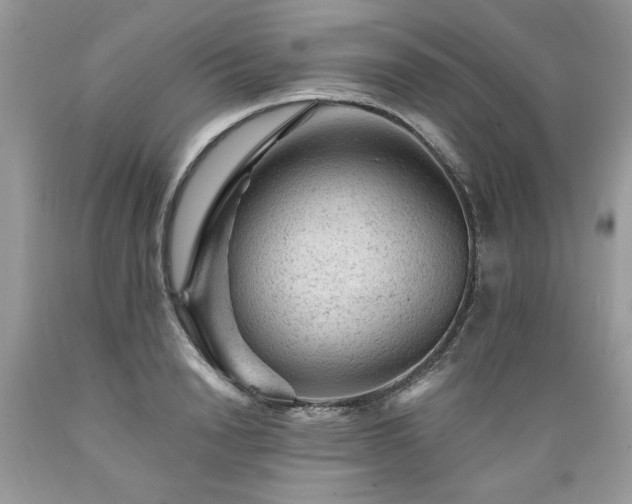 X0000089380846200706221252