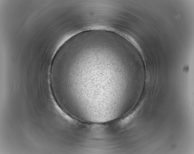 X0000089380847200706221252